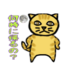 普段に使える猫スタンプ（個別スタンプ：26）