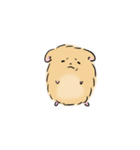 ふわはむ（個別スタンプ：13）