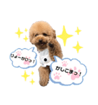 我が家のひらめ（個別スタンプ：9）