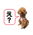 我が家のひらめ（個別スタンプ：11）