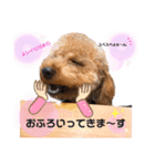 我が家のひらめ（個別スタンプ：16）