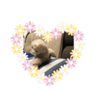 わんわんわんー（個別スタンプ：8）