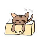うちのねこ♪♪（個別スタンプ：1）