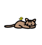 うちのねこ♪♪（個別スタンプ：4）