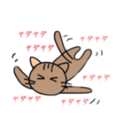 うちのねこ♪♪（個別スタンプ：8）