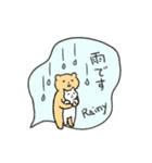 毎日くま＆ねこ 手書き風吹き出しスタンプ（個別スタンプ：22）