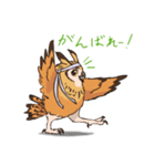 フクロウスタンプ ミミズクくん！（個別スタンプ：1）
