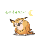 フクロウスタンプ ミミズクくん！（個別スタンプ：3）