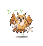 フクロウスタンプ ミミズクくん！（個別スタンプ：4）