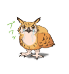 フクロウスタンプ ミミズクくん！（個別スタンプ：5）