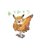 フクロウスタンプ ミミズクくん！（個別スタンプ：7）