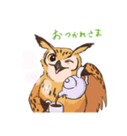 フクロウスタンプ ミミズクくん！（個別スタンプ：8）