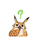 フクロウスタンプ ミミズクくん！（個別スタンプ：11）
