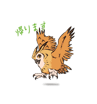 フクロウスタンプ ミミズクくん！（個別スタンプ：16）
