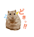 ゆみハムずスタンプ2(まちゅんぷ)（個別スタンプ：7）