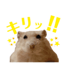 ゆみハムずスタンプ2(まちゅんぷ)（個別スタンプ：8）