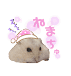 ゆみハムずスタンプ2(まちゅんぷ)（個別スタンプ：10）