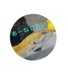 我が家の長男ぽむ（個別スタンプ：3）