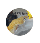 我が家の長男ぽむ（個別スタンプ：4）
