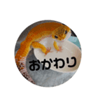 我が家の長男ぽむ（個別スタンプ：7）