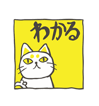 おかねこスタンプ（個別スタンプ：5）