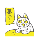 おかねこスタンプ（個別スタンプ：38）