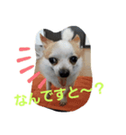 トノ家の方々（個別スタンプ：8）
