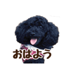 もこ＆しょこ（個別スタンプ：1）