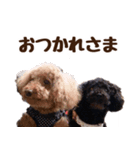 もこ＆しょこ（個別スタンプ：5）