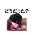 もこ＆しょこ（個別スタンプ：14）