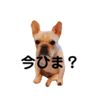 みんなのグッドマイロ‼︎（個別スタンプ：8）
