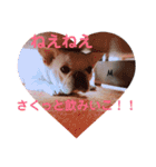 みんなのグッドマイロ‼︎（個別スタンプ：13）