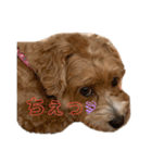 のあうた（個別スタンプ：5）