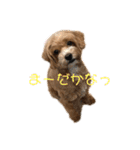 のあうた（個別スタンプ：11）