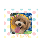 のあうた（個別スタンプ：16）