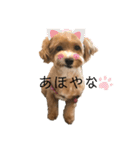 のあうた（個別スタンプ：21）