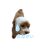 のあうた（個別スタンプ：24）