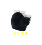 まちかねことさいとうさん（個別スタンプ：6）