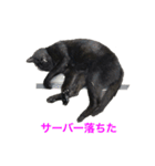 まちかねことさいとうさん（個別スタンプ：7）