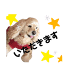 ここちゃぷー❤3（個別スタンプ：11）