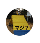 チワックス・ペリーの日常2（個別スタンプ：8）