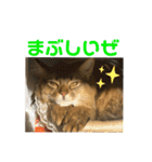にゃん太のLINEスタンプ（個別スタンプ：30）