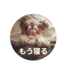 チコサクスタンプ（個別スタンプ：8）