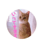 あいさつゆめちゃん1❤（個別スタンプ：7）
