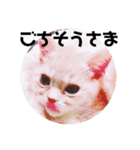 あいさつゆめちゃん1❤（個別スタンプ：15）