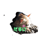 チワkuru（個別スタンプ：12）