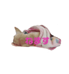 チワkuru（個別スタンプ：14）