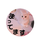 敬語ゆめちゃん❤（個別スタンプ：1）