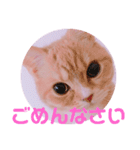 敬語ゆめちゃん❤（個別スタンプ：2）