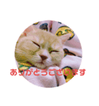敬語ゆめちゃん❤（個別スタンプ：4）